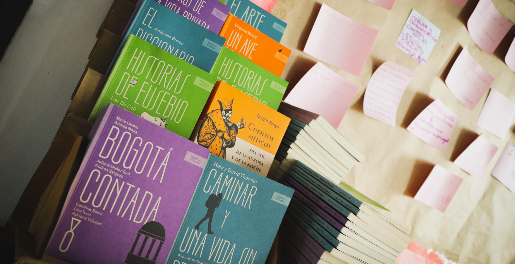 Pared con libros y literatura